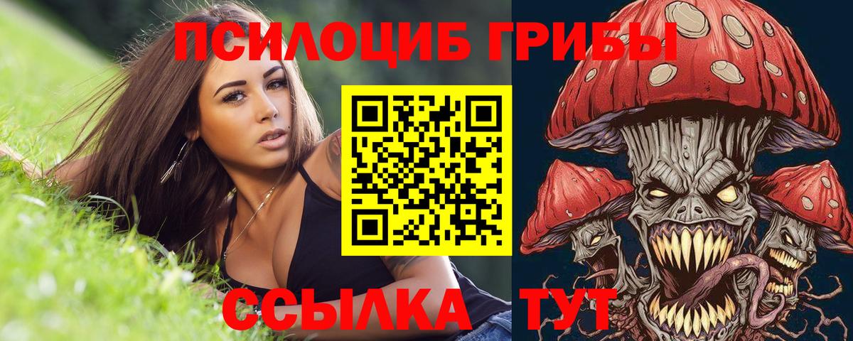 Псилоцибиновые грибы мухоморы  Вход с VPN  продажа наркотиков  Псилоцибиновые грибы Psilocybe  Азнакаево 